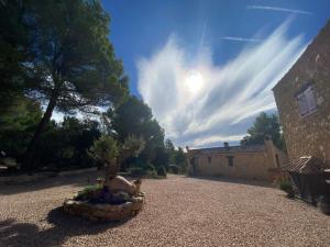 Maisons de vacances l'Amarante : photos des chambres