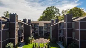 Bear Pause - Echo Park