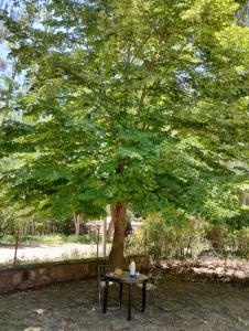 Casa Gloria y Vicente