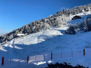 Appartement cosy au pied des pistes