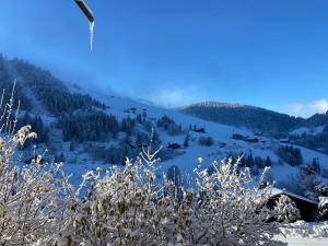 Appartement cosy au pied des pistes