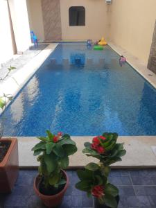 Hotel y Bungalows Bugambilias