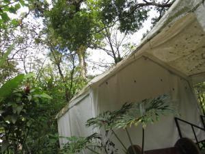 Glamping Rio Celeste Heliconia