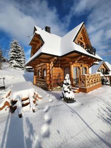 Góralska Chatka 3 Highland Cottage - Jacuzzi, Sauna, Split AC, Private parking, Mountains View