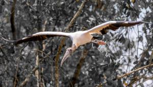 3rd Floor Hostel House of the Macaws, No AC, only cash,sharing rooms