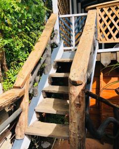 Rustic House Punta Rucia