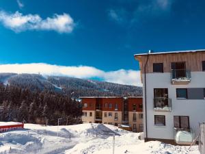 Apartmán Alfa Klínovec