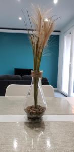 Appartements La Mine d'Or - Wifi - Parking Prive : photos des chambres