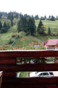 Pensiunea Moeciu Casa Wiarusti