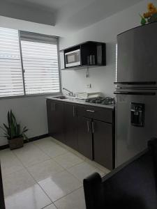 Colibrí de mi Tierra