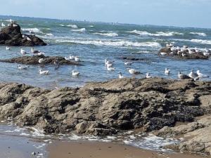 Appartements Appartement Calme Proche Plage avec Terrasse Sud, Parking Securise et Equipements Complets - FR-1-306-909 : photos des chambres