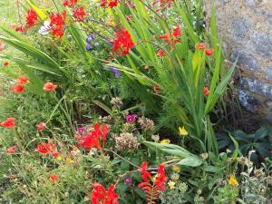 Charmante maison paysanne rénovée avec grand terrain, proche de la rivière et du village médiéval - FR-1-410-162