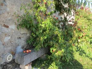 Gîte cosy en Val de Loire, proche Loire, Sologne, SullyLoire - 1 ch, salon, cuisine, linge inclus - FR-1-590-30