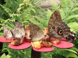 Gîte authentique avec terrasse, jardin clos et wifi à La Garnache - FR-1-426-140