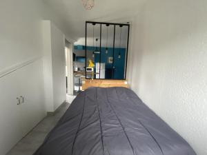 Studio central avec Wi-Fi proche des Thermes de La Roche-Posay - FR-1-541-82