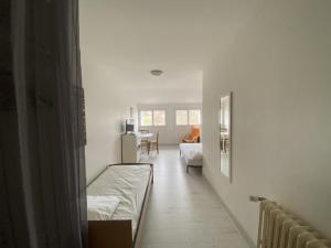 Studio cosy en cœur de La Roche-Posay, proche Thermes, Wi-Fi, laverie, tout équipé - FR-1-541-84