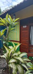 Phòng Gia Đình (Family Room)