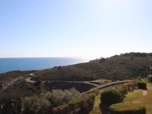 Banyuls-sur-Mer T2 avec terrasse et WIFI - FR-1-309-259