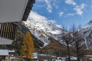 Appartements Residence Coeur d'Argentiere 107 - Happy Rentals : photos des chambres