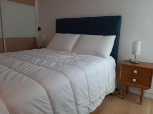 Appartements Appartement T3 renove a 10 min du centre-ville avec balcon, garage et WIFI a Saint-Jean-de-Luz - FR-1-239-584 : photos des chambres