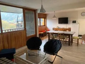 F2 bis tout confort avec balcon au pied des pistes, parking et local à skis, Mont-Dore - FR-1-415-100 - Бесс-е-Сент-Анастез