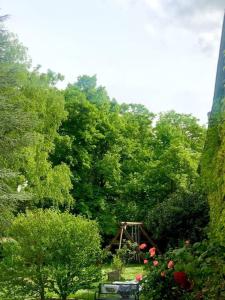 Villas Le Jardin d'Eden : photos des chambres