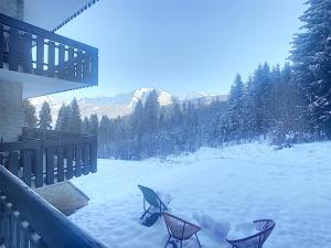 Appartement cosy au pied des pistes à Combloux avec balcon et casier à skis - FR-1-560-61