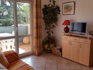 Appartements Appartement Collioure, 3 pieces, 4 personnes - FR-1-309-246 : photos des chambres