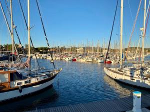 Appartements Les locations Cinaureva « La Baie des Iles » : photos des chambres