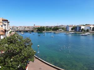 Appartements Ciboure : T4 spacieux avec balcon et veranda, proche golf - FR-1-239-554 : photos des chambres