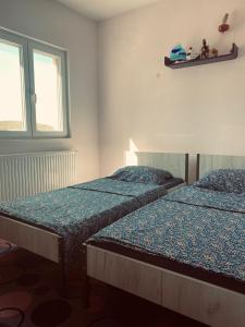 Island Šolta Comfort apartment Modesty