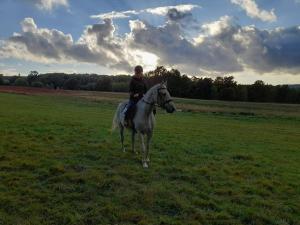 Agroturystyka Stylowy Pokój w Stajni