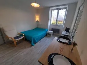 Studio cosy avec Wi-Fi à 50m du centre, proche des Thermes - La Roche-Posay - FR-1-541-56 - 克勒兹河畔伊泽尔