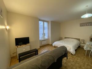 Appartements Studio La Roche-Posay, 1 piece, 3 personnes - FR-1-541-59 : photos des chambres