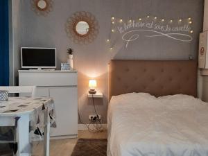 Appartements Studio La Roche-Posay, 1 piece, 4 personnes - FR-1-541-41 : photos des chambres