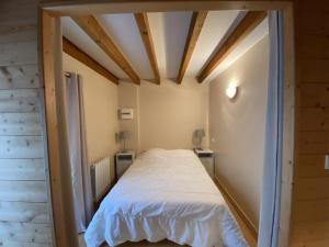 Appartements Studio La Roche-Posay, 1 piece, 3 personnes - FR-1-541-44 : photos des chambres