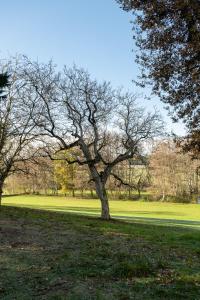 Maisons de vacances Gites du Moulin a Tan a Sache 37 : photos des chambres