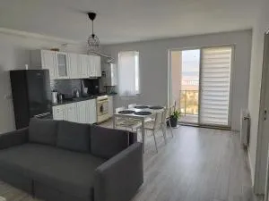 Nordic style Apartaments Floresti - 拉奇特勒