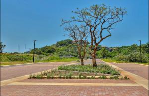 Zimbali Lakes Boulevard Suites 239