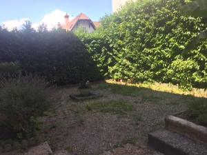 Appartement spacieux à Évian avec terrasse jardin et parking - FR-1-498-40