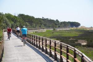 Apartment mit 1 Schlafzimmer
