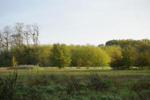 B&B / Chambres d'hotes Ferme du bois de Veude : photos des chambres