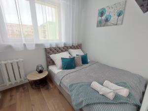 Apartament Skandynawski