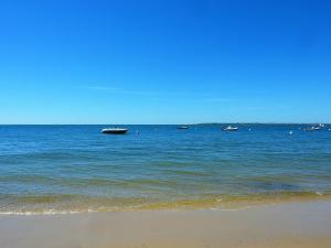 Arcachon : T2 moderne à 2 pas de la plage avec balcon, WiFi, parking et TV cinéma - FR-1-420-71