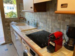 Appartement T2 avec Terrasse Vue Mer au Lavandou - FR-1-308-167