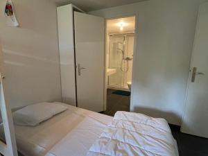 Appartements Appartement La Chapelle-d'Abondance, 4 pieces, 9 personnes - FR-1-692-30 : photos des chambres