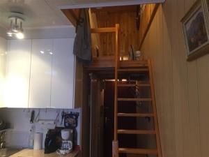 Appartements F3 avec balcon, 2 chambres mezzanine, wifi, animaux acceptes, Mont-Dore - FR-1-415-71 : photos des chambres