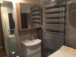 Appartements F3 avec balcon, 2 chambres mezzanine, wifi, animaux acceptes, Mont-Dore - FR-1-415-71 : photos des chambres