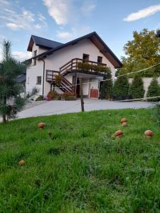 Agroturystka Stylowy Apartament nad Stajnią