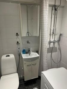 Apartment for four at the city center